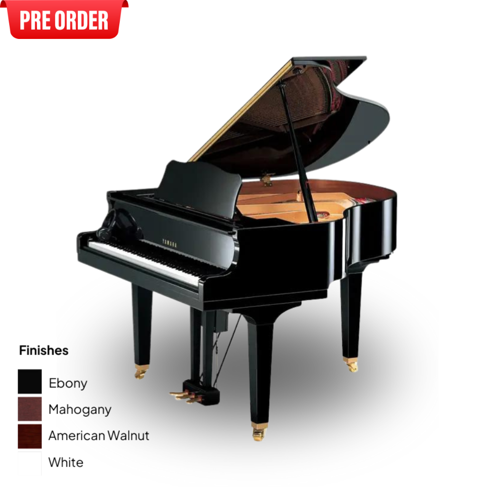 ( PREORDER ) Yamaha DGB1K ENST