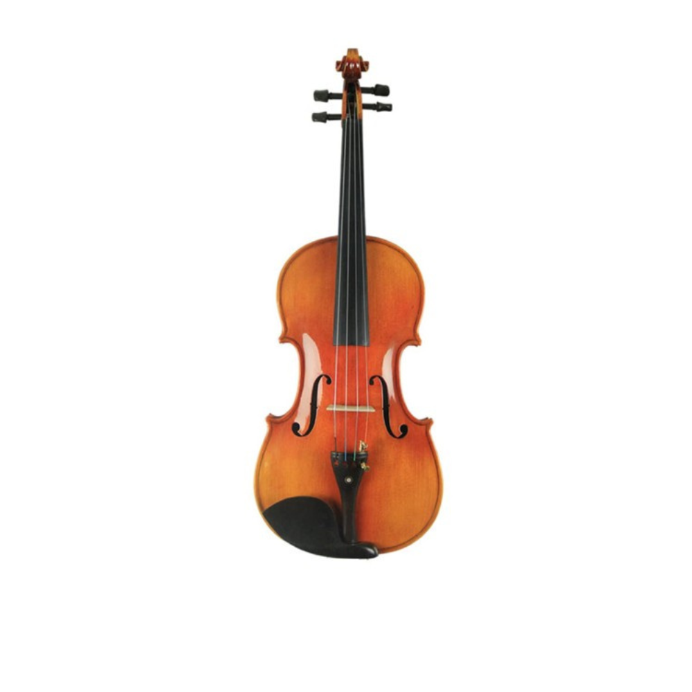 Biola Cavaliers CV1A WG Violin Outfit