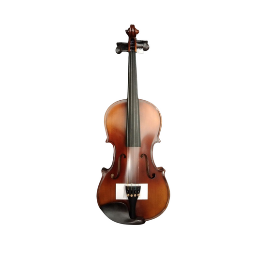 Biola Cavaliers CV4 SW Violin Outfit