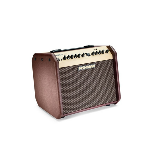 Fishman Loudbox Mini LBX EX5BT